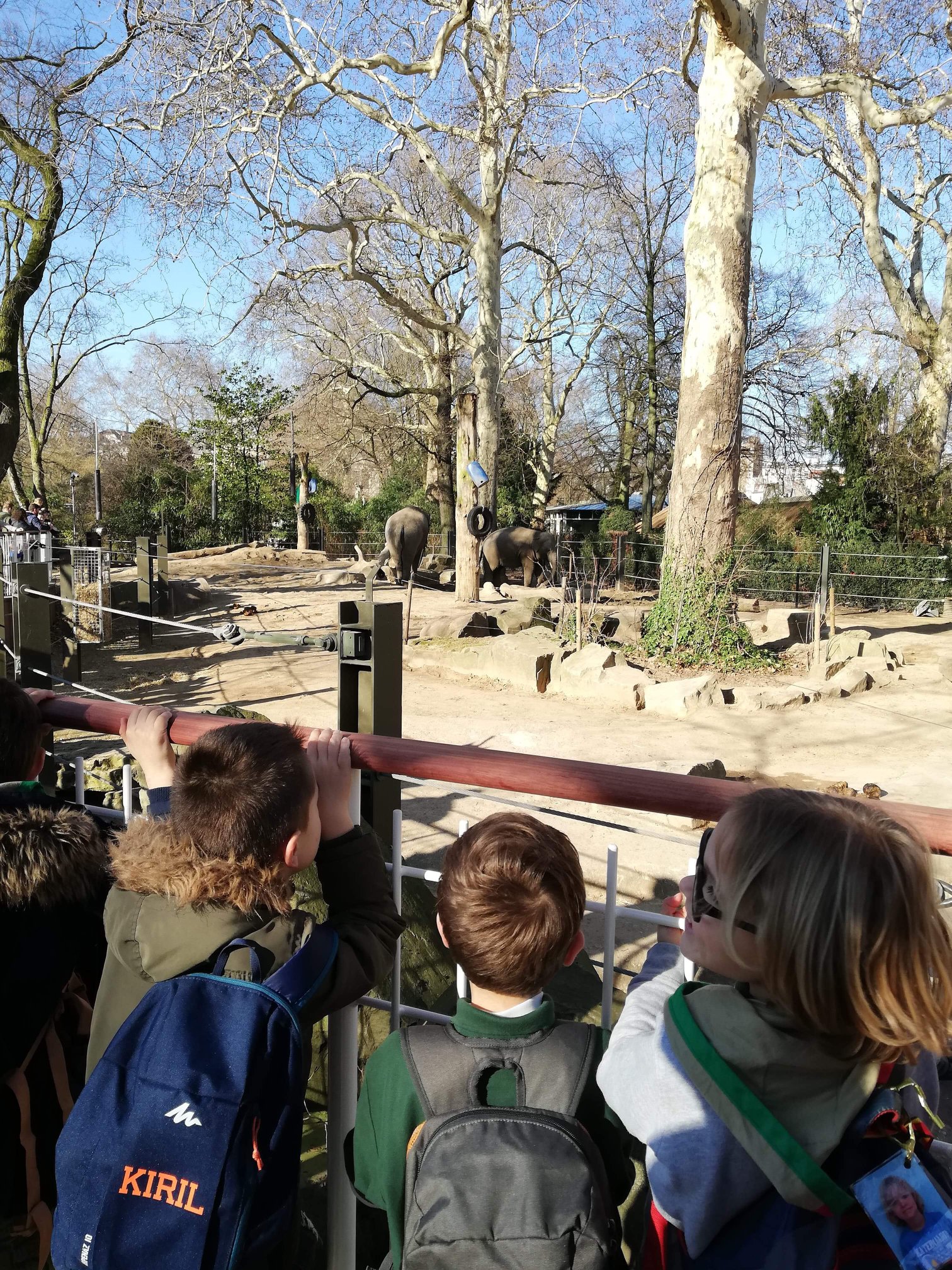 Sint-Martinus den XIIde - Zoo Antwerpen Kapoenen